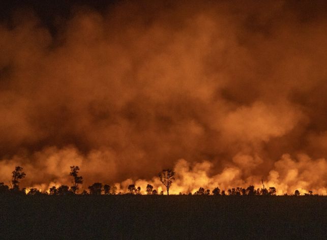 KLH Awasi 38 Perusahaan terkait Kebakaran Lahan